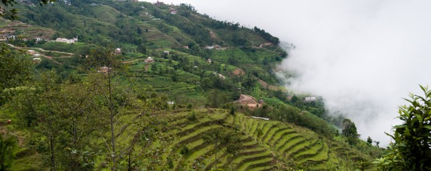 Day 6: Nepali Village