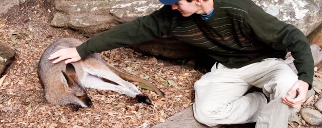 Day 42: Taronga Zoo