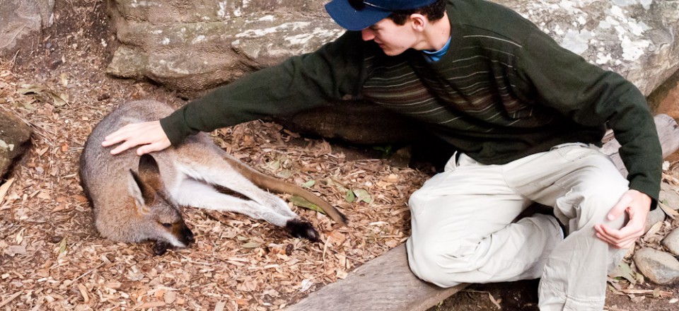 Day 42: Taronga Zoo