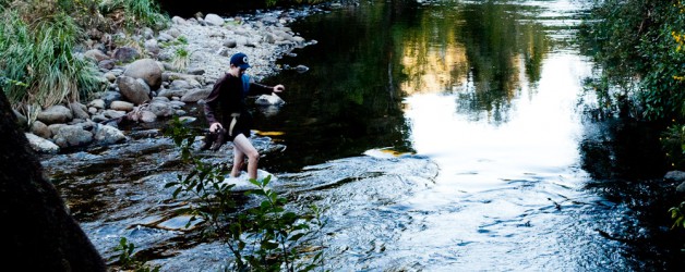 Day 49: Going Out with a Gorge!