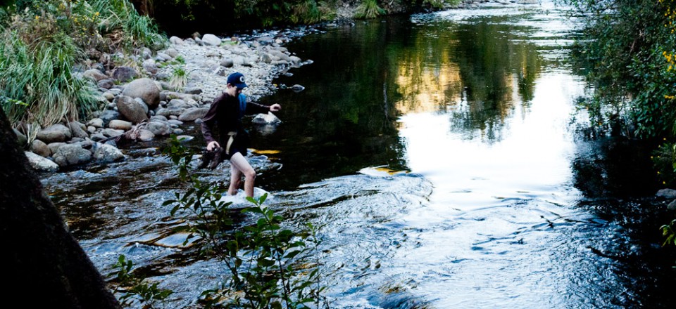 Day 49: Going Out with a Gorge!