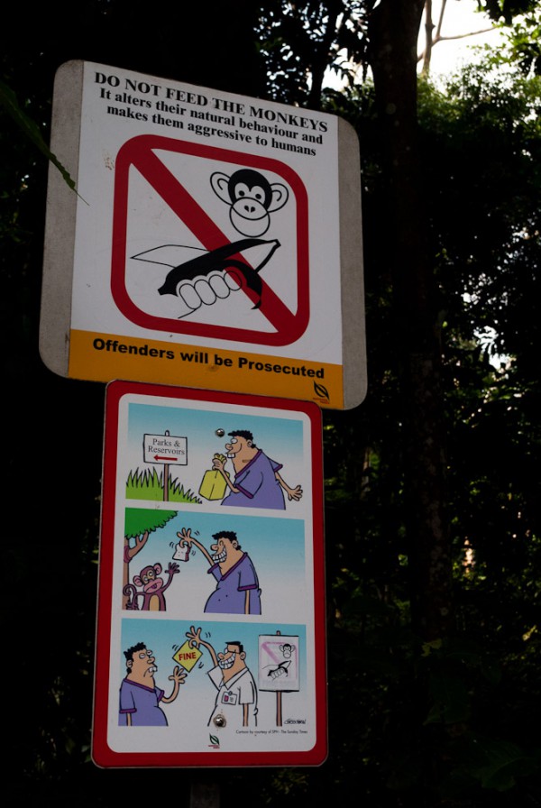 20110711-Singapore-8383