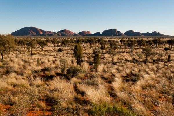 20110722-Australia-9227