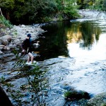 Day 49: Going Out with a Gorge!